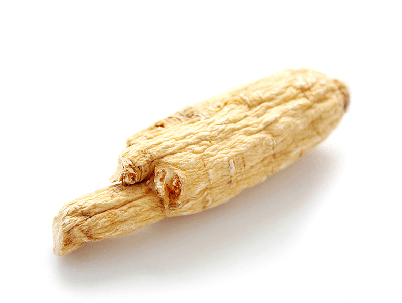 Raíz de Aralia para potencia