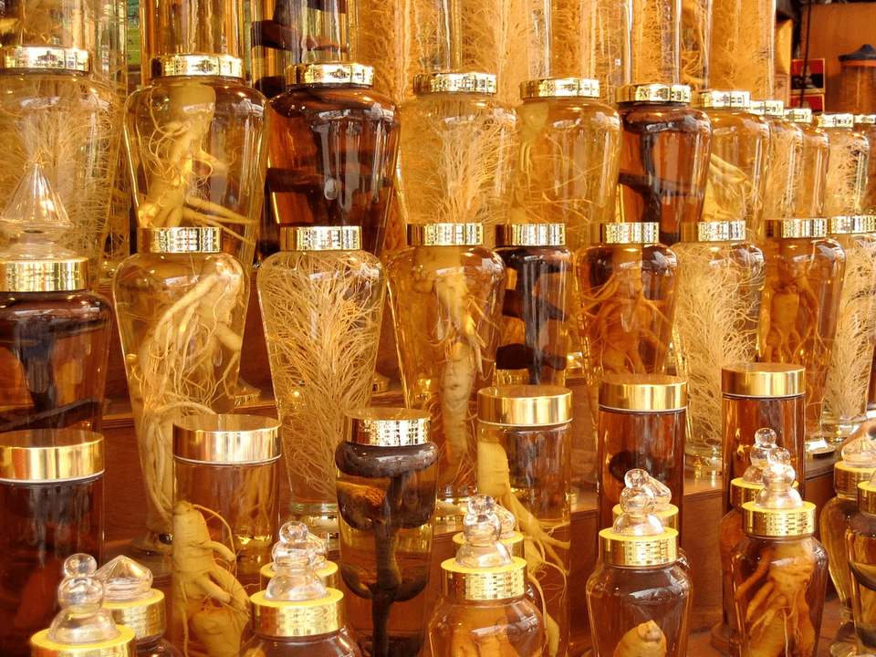 raíz de ginseng para aumentar la potencia